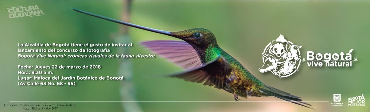 Bogotá Vive Natural, crónicas visuales de la fauna silvestre