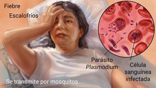 Casos de malaria se incrementaron en el corregimiento de Córdoba