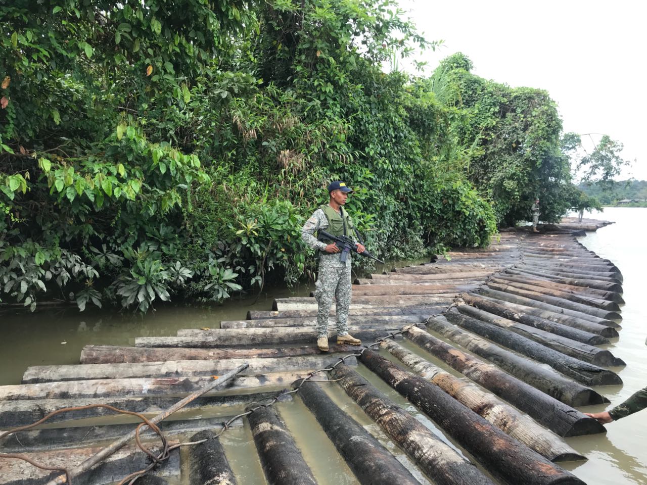 2.038 piezas de madera taladas y transportadas ilegalmente fueron incautadas por la Armada Nacional
