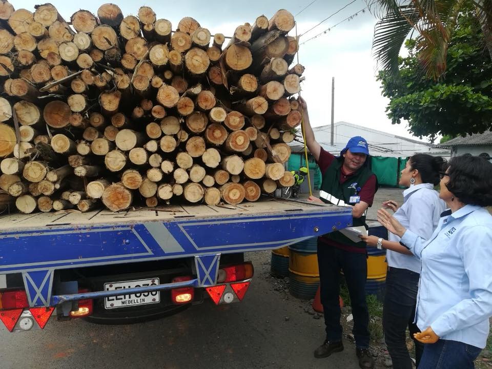 En marcha Plan de Contingencia por falta de papelería para la expedición de salvoconducto para transportar forestal