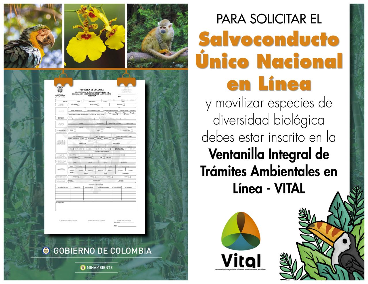 Avanza la implementación del Salvoconducto Único en Línea