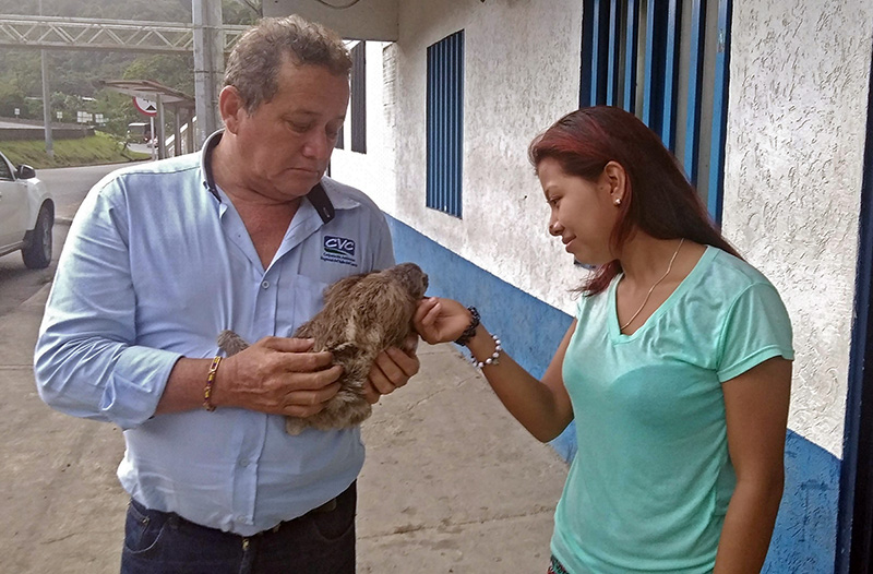 Gracias al aviso de la comunidad, se salvó un perezoso que estaba en cautiverio