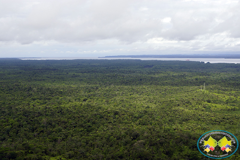 El Pacífico, una de las regiones de Colombia con mayor descenso en la deforestación