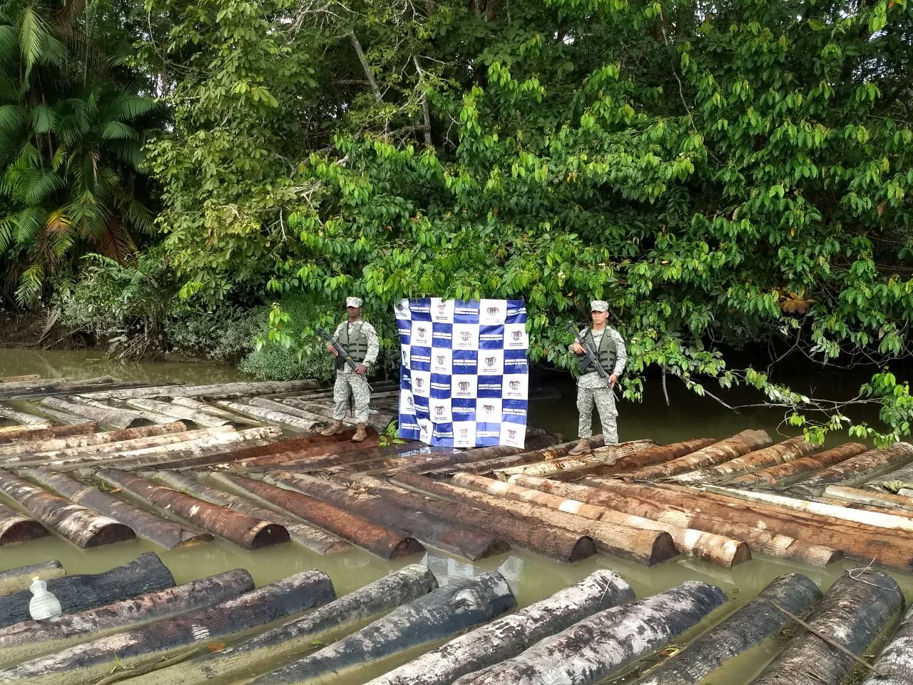 La Armada Nacional incautó 1.192 metros cúbicos de madera ilegal transportada por vía fluvial y terrestre