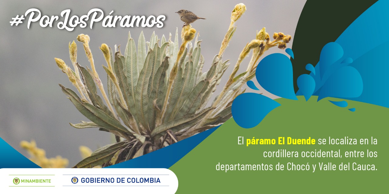 El Gobierno nacional entregó todos los 37 complejos de páramos del país protegidos
