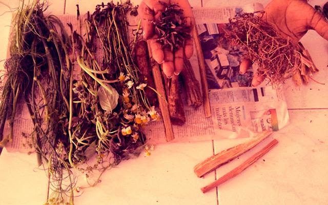 Taller de medicina tradicional en el pacífico colombiano y uso de plantas medicinales