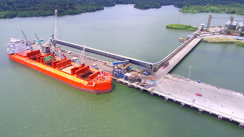 La Terminal COMPAS Aguadulce recibió el embarque más grande de trigo para la industria nacional
