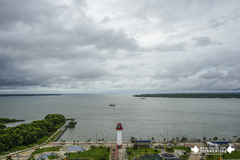 La Bahía de Buenaventura no está contaminada con amoníaco: Dimar
