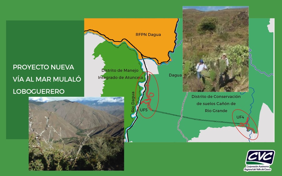 Consejo Directivo de la CVC da viabilidad para sustracción de área protegida para permitir la construcción de la vía Mulaló-Loboguerrero
