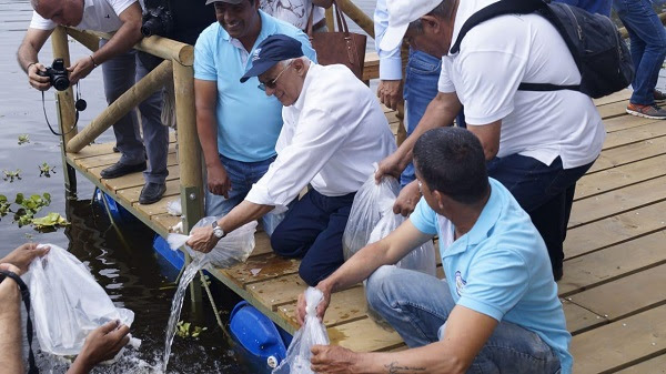 CVC y Fuerza Aérea llevarán 30 mil bocachicos al río Cauca para contribuir con emergencia ambiental por Hidroituango