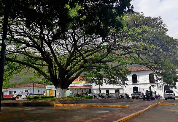 #Valle La CVC más cerca de los vije&ntilde;os