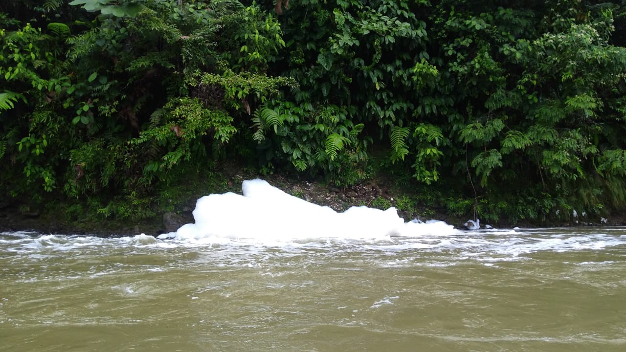 La CVC suspendió lavadero ilegal que produjo una espuma que provocó la muerte de peces en el río Dagua
