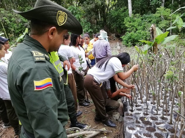 Material forestal es producido por estudiantes en Dagua