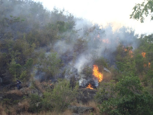 Monitorean temporada seca en el Valle del Cauca ante posibles incendios forestales