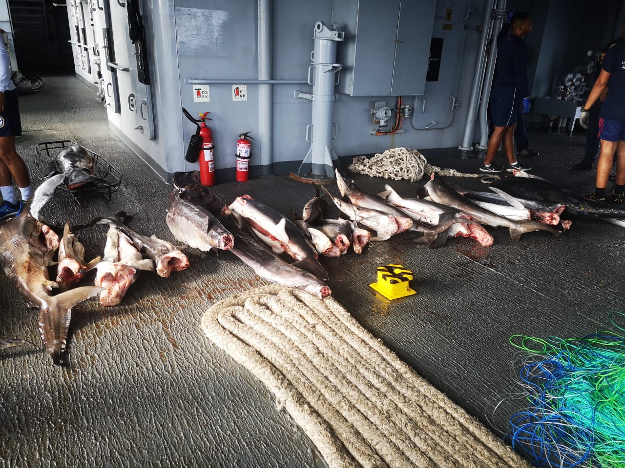 La Armada de Colombia incautó más de una tonelada de pesca ilegal en aguas del pacífico