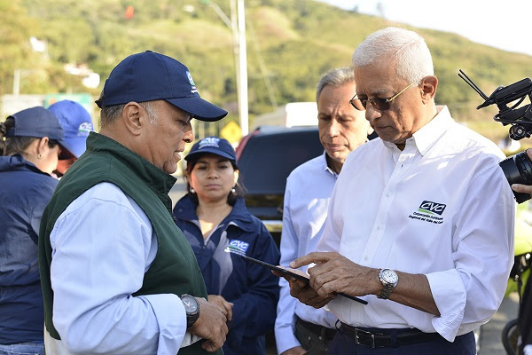 1.250 metros cúbicos de flora se decomisaron en el primer semestre del 2019 en el Valle del Cauca