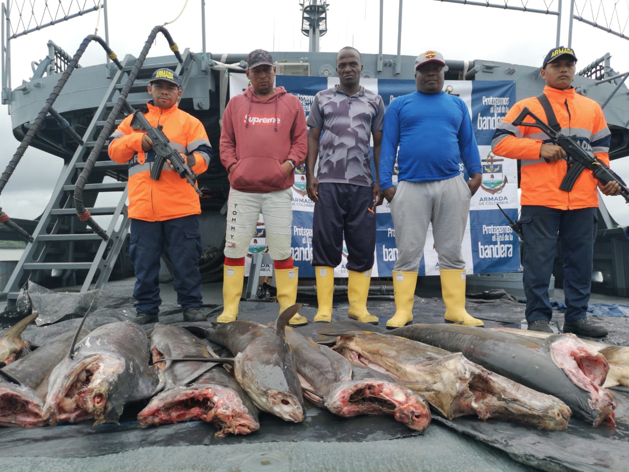 La Armada de Colombia incautó una tonelada de pesca ilegal
