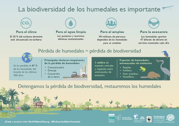 El Ministerio de Ambiente avanza en la conservación y gestión sostenible de los humedales del país