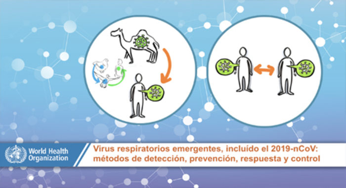 Gobernadora del Valle dio parte de tranquilidad en el departamento tras descartarse casos de Coronavirus