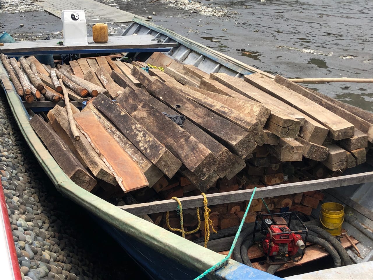 La Armada de Colombia incautó madera que fue extraída de forma ilegal del Parque Nacional Natural Sanquianga