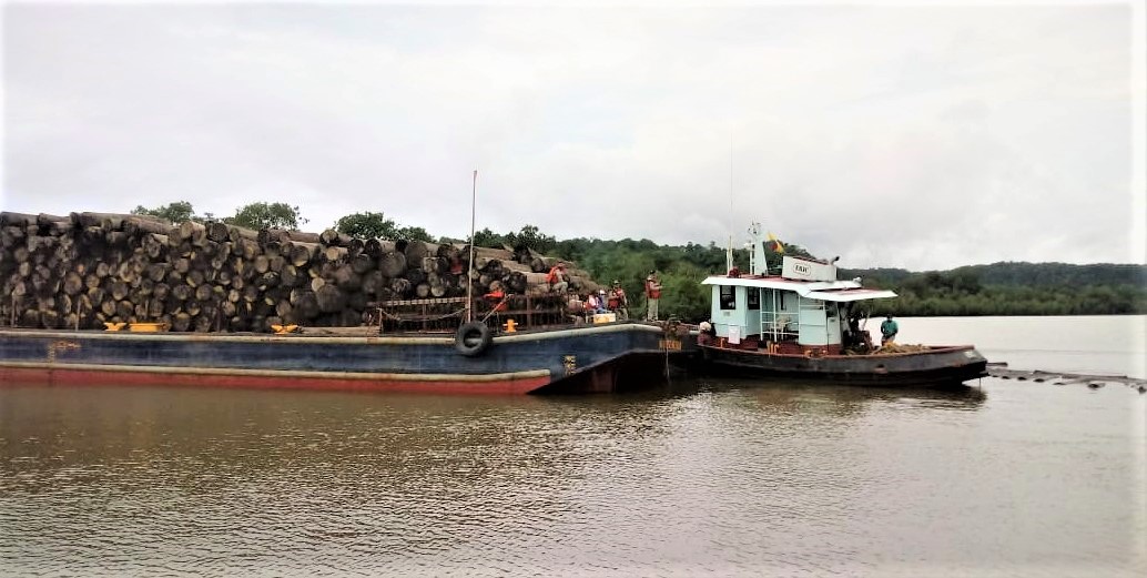 La Armada de Colombia incautó cargamento de madera en el Chocó