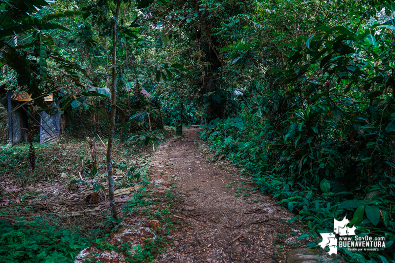 San Cipriano descubre su riqueza natural y prepara a sus jóvenes como investigadores &lsquo;Junior&rsquo; en proyecto financiado con regalías