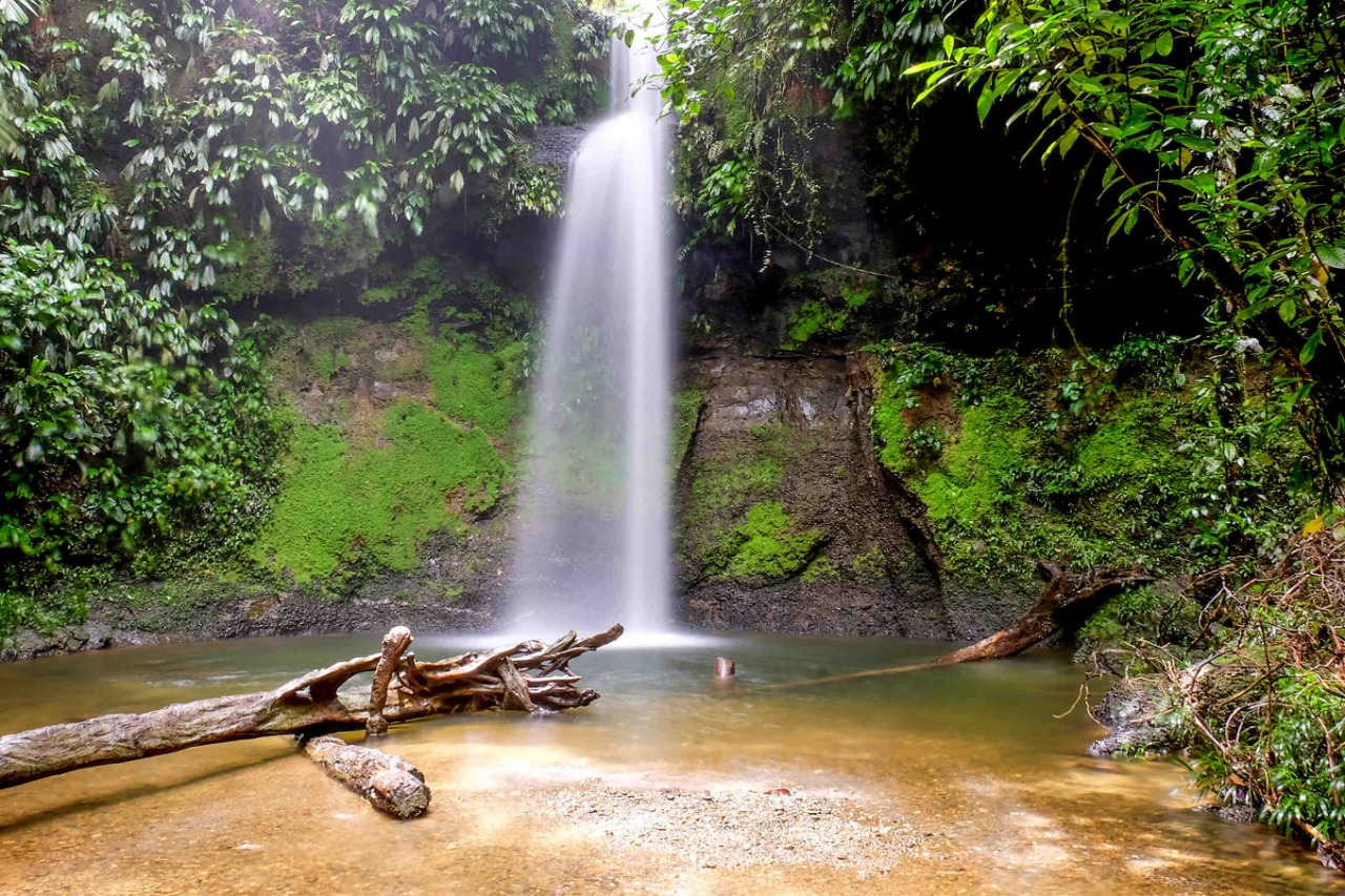 La reserva natural de San Cipriano se reactivaría para el turismo en enero de 2021