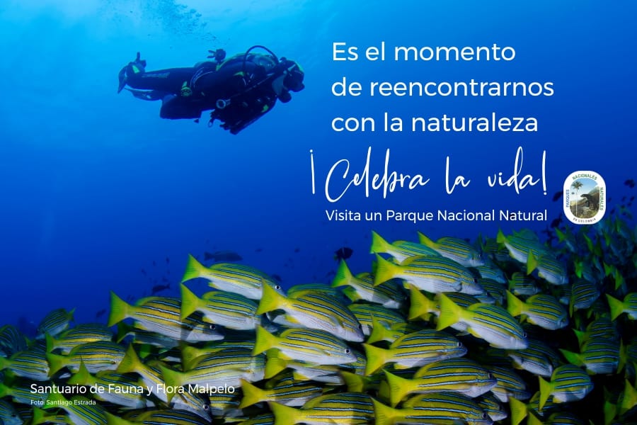 Comienza la reapertura gradual de los Parques Nacionales Naturales de Colombia