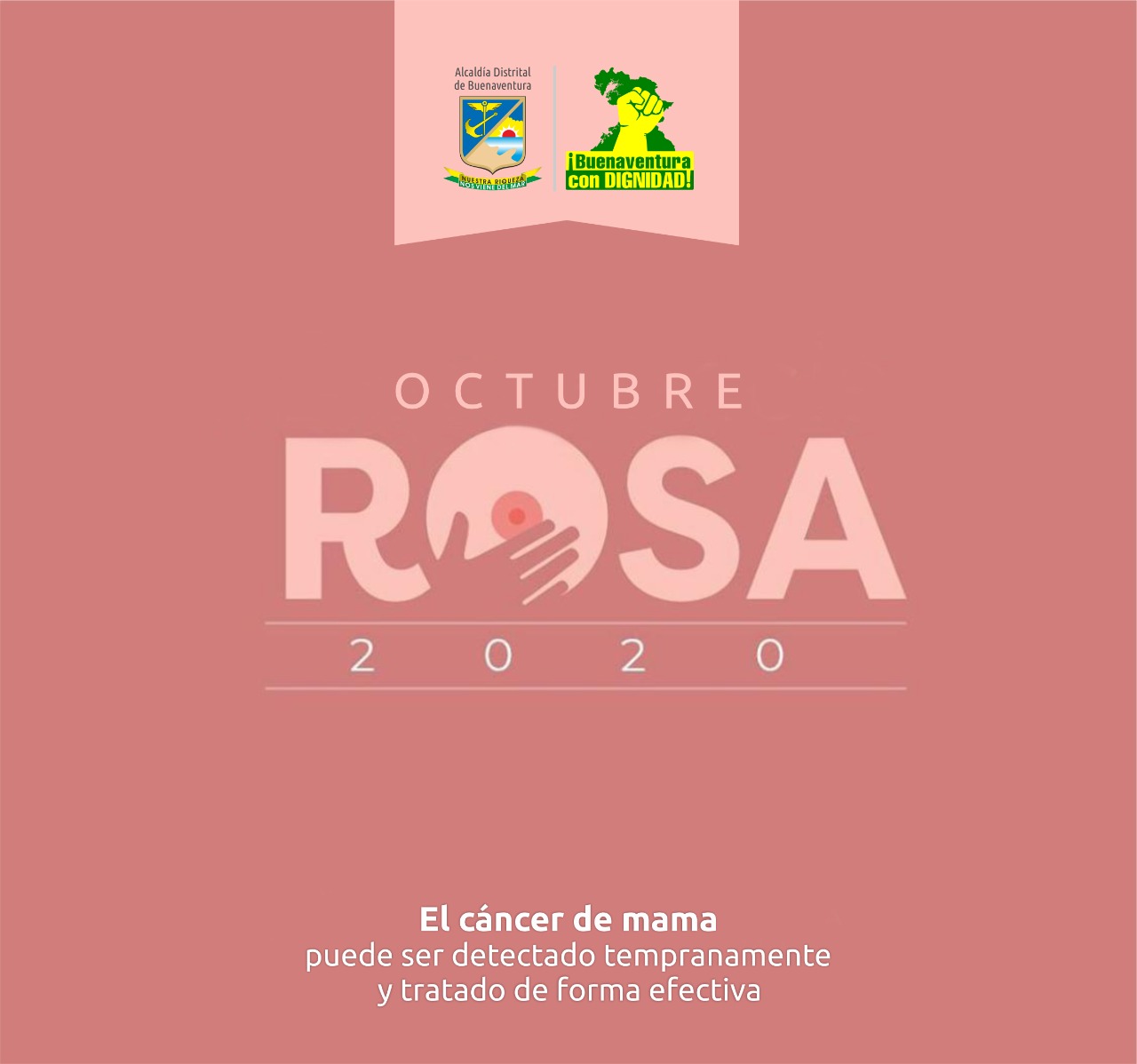 Octubre, mes rosa para detectar el cáncer de mama