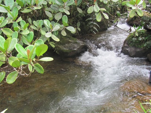El uso eficiente y ahorro del agua, tema prioritario para los acueductos veredales de Calima El Darién