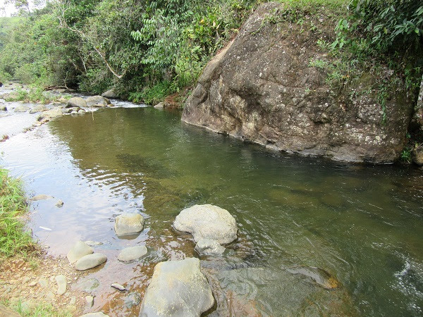 Los ríos Dagua, Anchicayá, Bitaco y Calima han mantenido sus niveles estables