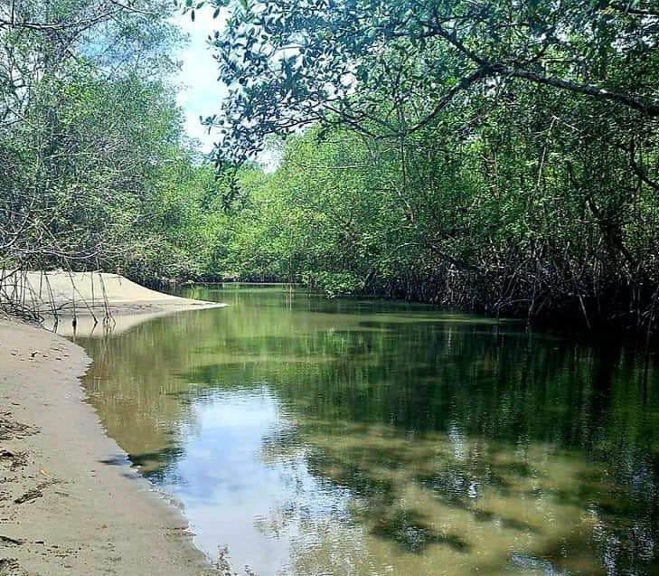 En Punta Soldado se dará reapertura al turismo el 30 de julio