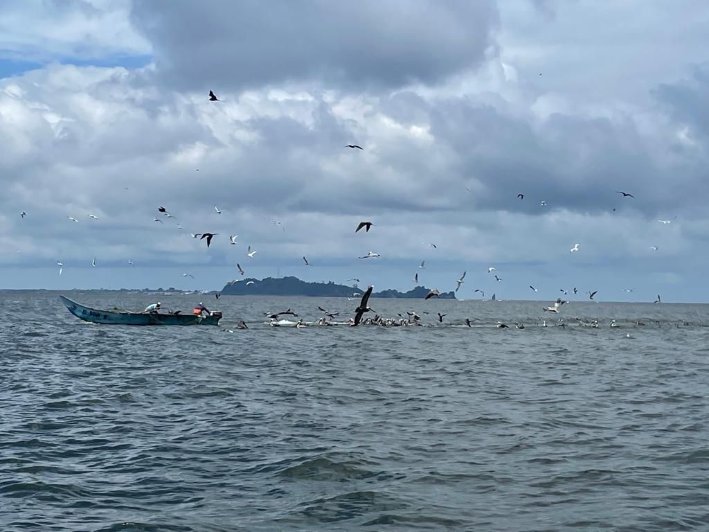 La Dirección General Marítima mantiene su compromiso con el plan de ordenamiento marino costero de Tumaco, Nariño
