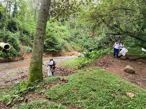 Se sembraron 6.000 alevinos de bocachico en el río Pance en Cali