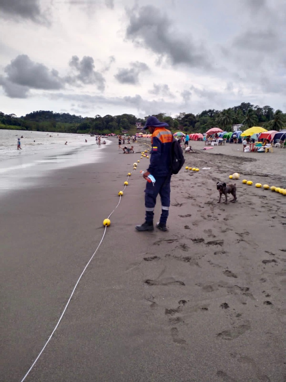 La Dimar asesoró técnicamente la instalación de 190 boyarines en Playa de Piang&uuml;ita