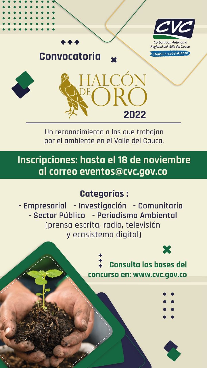 Cómo ganarse $ 3 millones y un 'Halcón de Oro' este fin de a&ntilde;o, son 5 categorías, periodistas tendrán más alternativas