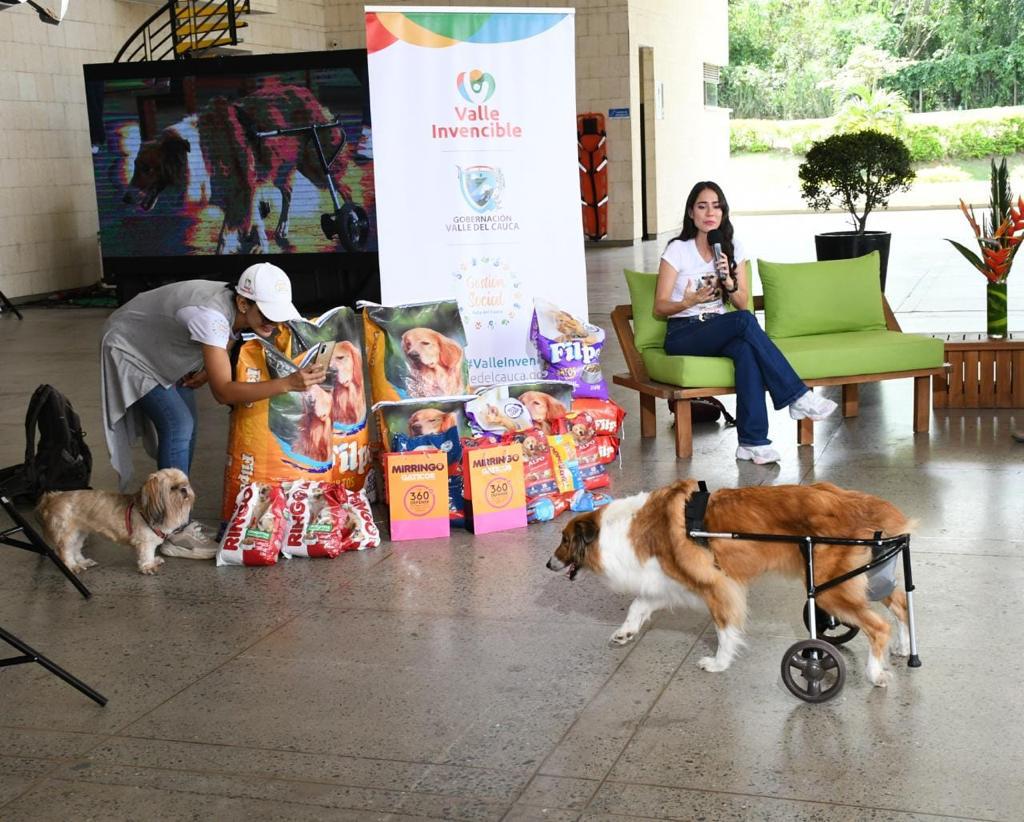 15 mil razones para agradecer a los vallecaucanos su solidaridad, la Donatón 'Salvando Huellas' superó la meta