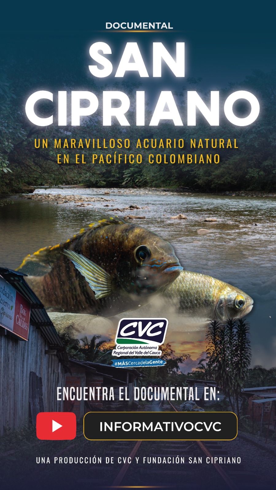 Conozca el sorprendente acuario natural de San Cipriano