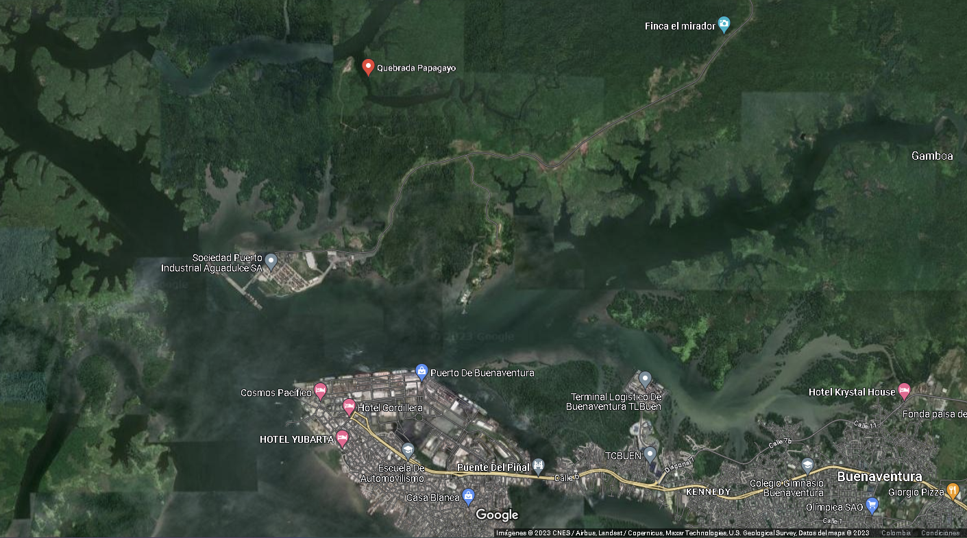 Inició el programa de restauración del ecosistema manglar en Papagayo, zona rural de Buenaventura