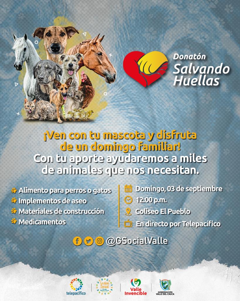 Atención vallecaucanos!  Comenzó el conteo regresivo para demostrar la solidaridad en la Donatón &lsquo;Salvando Huellas&rsquo;