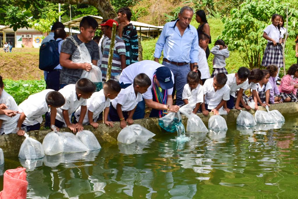 8.000 peces fueron sembrados para la seguridad alimentaria de comunidad indígena en Buenaventura