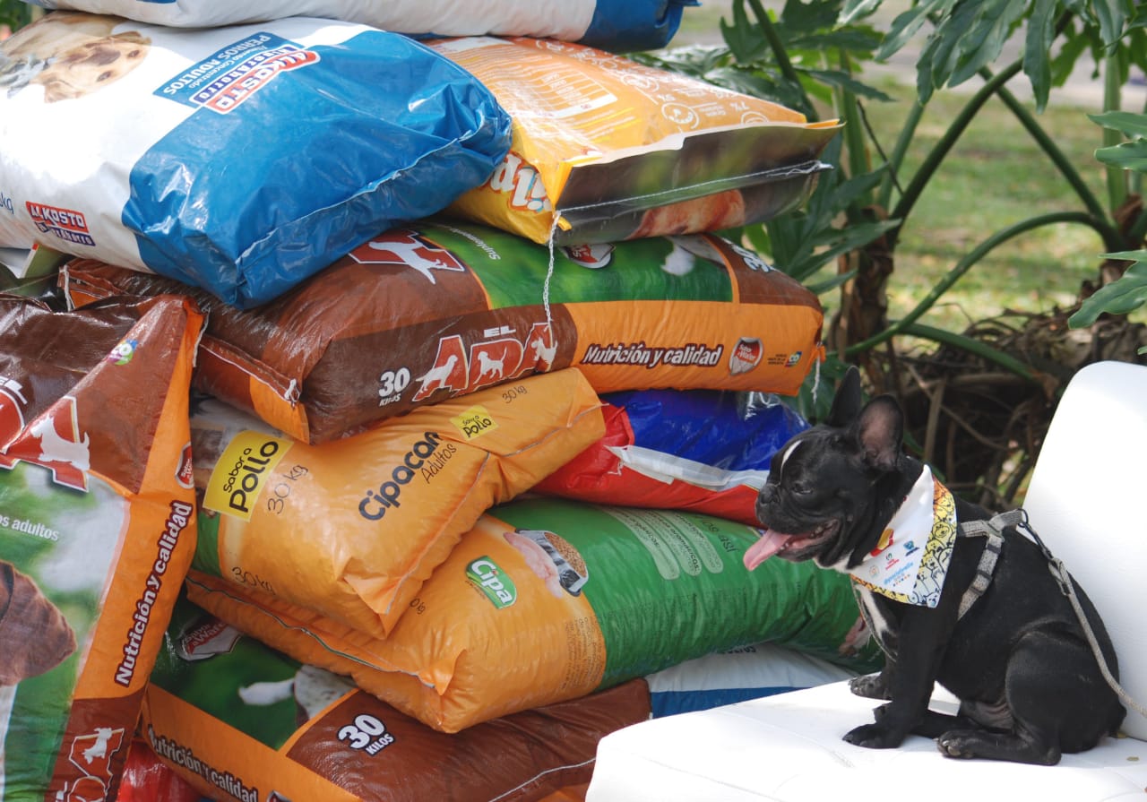 &lsquo;Salvando Huellas&rsquo; 2023 rompió récord con 16 mil kilos de alimentos recolectados en el Valle del Cauca