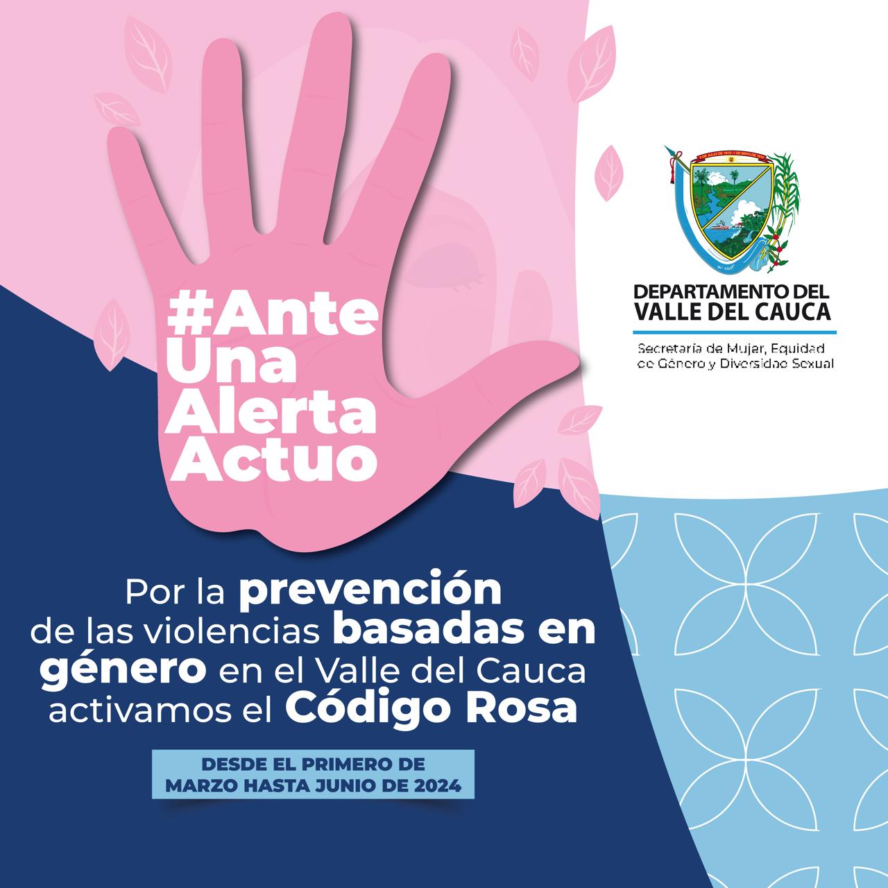 “Garantizar la vida de las vallecaucanas es nuestro compromiso”: Gobernadora declara en máxima alerta el Código Rosa
