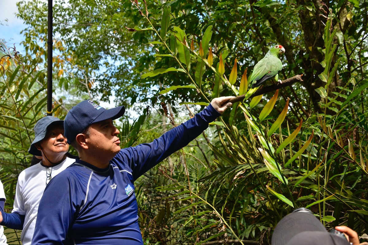 Se realizó la liberación de 74 animales de la fauna silvestre en La Bocana