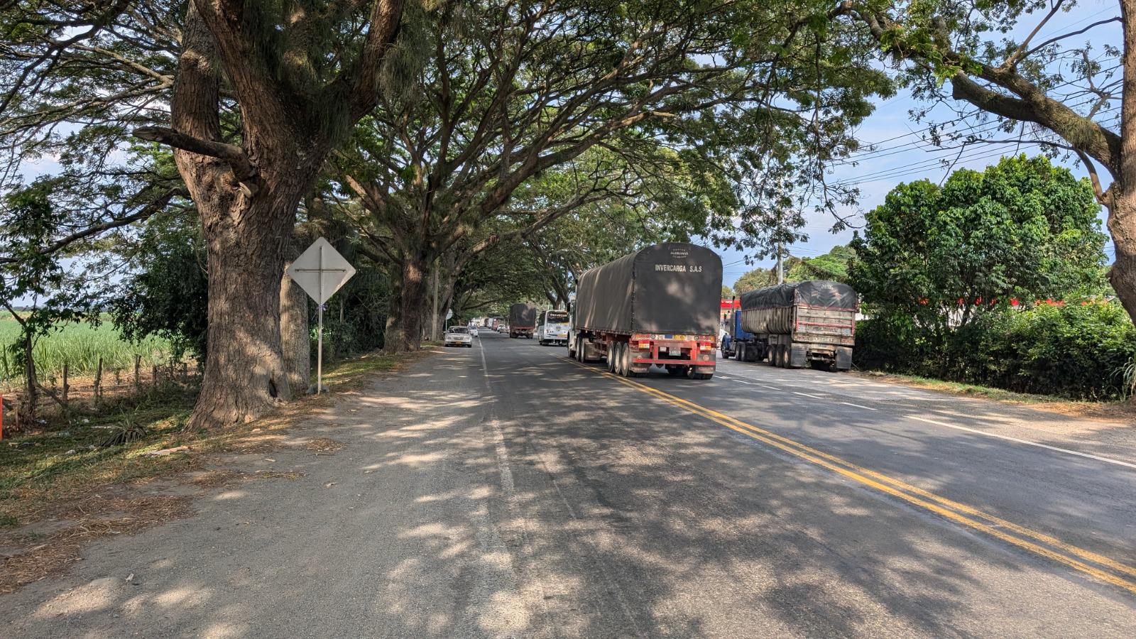 Tras llamado de la Gobernadora, concesionario redise&ntilde;ará trazado de la vía  Buga-Buenaventura para evitar arboricidio