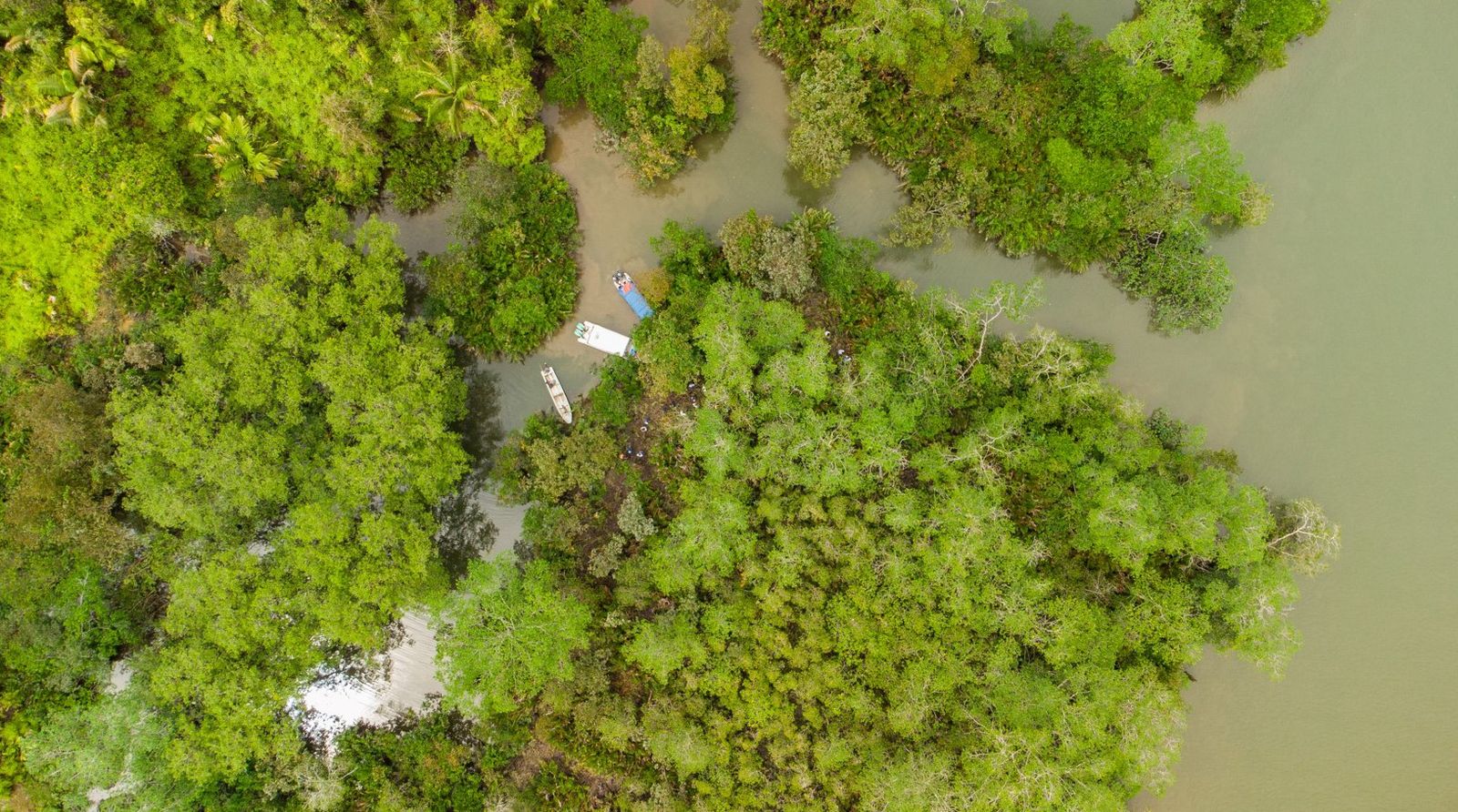La Vereda Gamboa en Buenaventura: Nueva Área Protegida en el Valle del Cauca