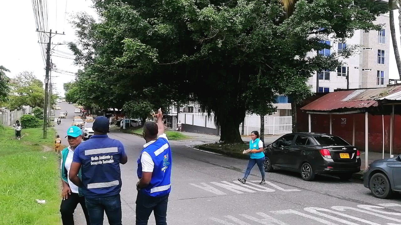 Se realizará diagnóstico arbóreo en avenida Simón Bolívar de Buenaventura dará paso a intervenciones