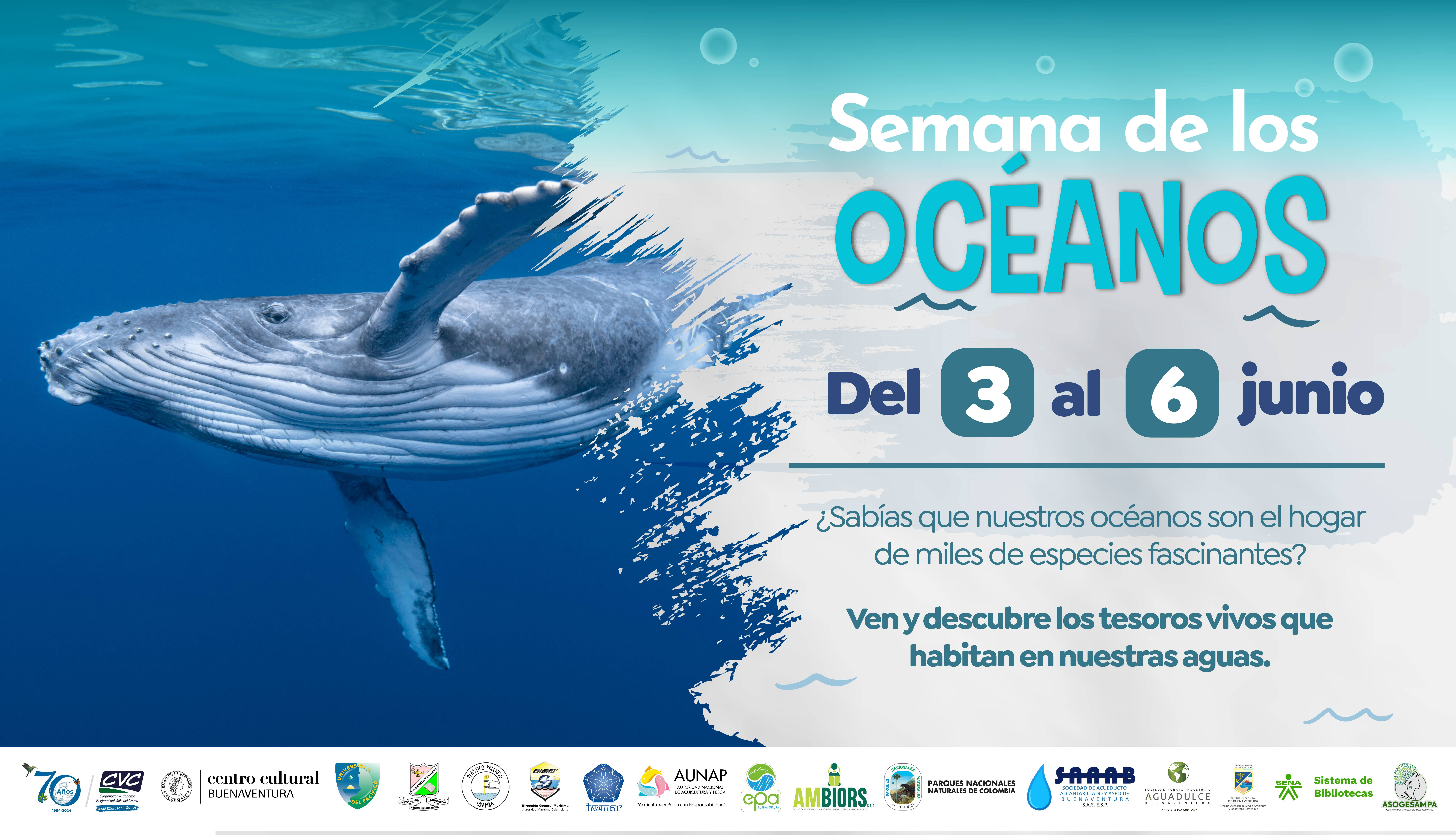 Buenaventura celebrará la riqueza de sus mares con la Semana de los Océanos 2025
