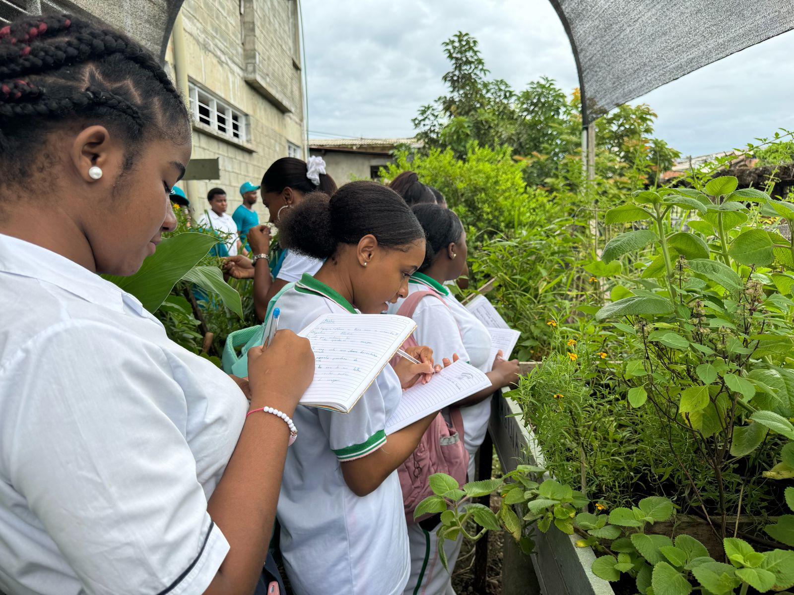 500 estudiantes de Buenaventura fortalecen la educación ambiental en sus instituciones