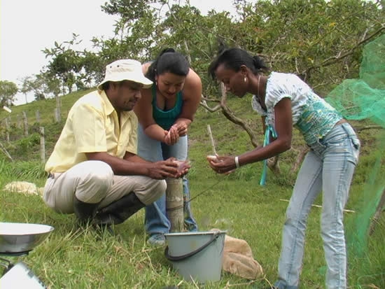 Programa de Acuicultura de la Unipacifico acompaña a cultivadores de peces de la región del Pacífico colombiano